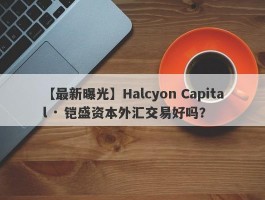 【最新曝光】Halcyon Capital · 铠盛资本外汇交易好吗？
