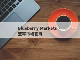 Blueberry Markets · 蓝莓市场官网