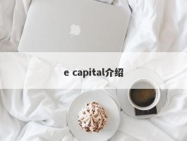 e capital介绍