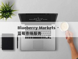Blueberry Markets · 蓝莓市场服务