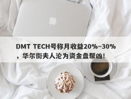 DMT TECH号称月收益20%~30%，华尔街夫人沦为资金盘帮凶！
