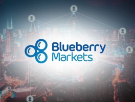 Blueberrymarkets verbirgt eine Katastrophe, vermeiden Sie Aufsicht und Vertrag!Die Absicht, die Transaktionsdaten zu monopolisieren!